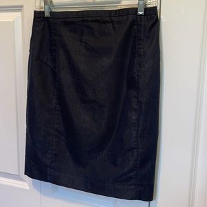 Express Pencil Skirt